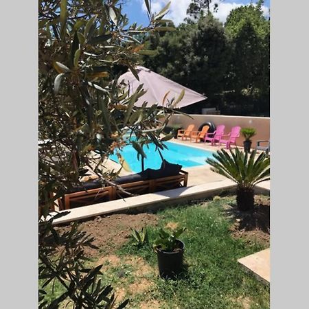 Logement Attenant A Une Villa T2 Avec Terrasse . Besse-sur-Issole Экстерьер фото